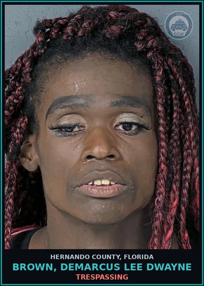CCW arrest card for BROWN, DEMARCUS LEE DWAYNE in Hernando County: TRESPASSING