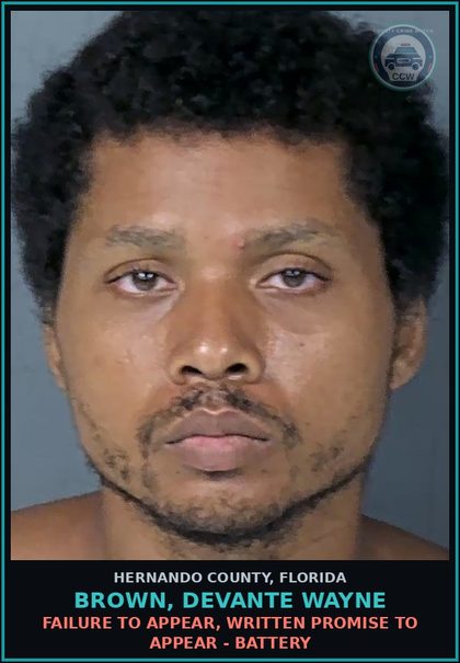 CCW arrest card for BROWN, DEVANTE WAYNE in Hernando County: FAILURE TO APPEAR