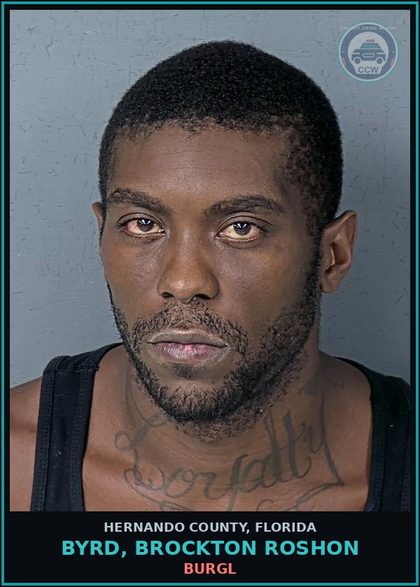CCW arrest card for BYRD, BROCKTON ROSHON in Hernando County: BURGL