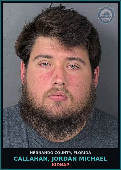 CCW arrest card for CALLAHAN, JORDAN MICHAEL in Hernando County: s3x ASSLT