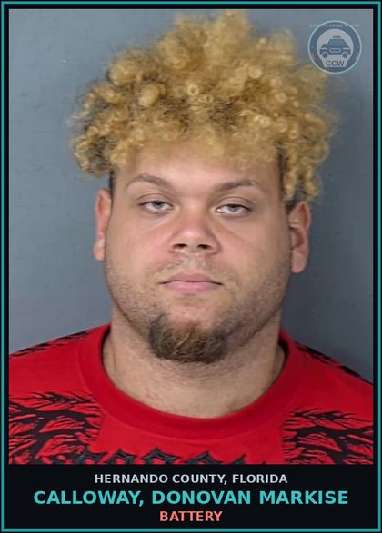 CCW arrest card for CALLOWAY, DONOVAN MARKISE in Hernando County: BATTERY