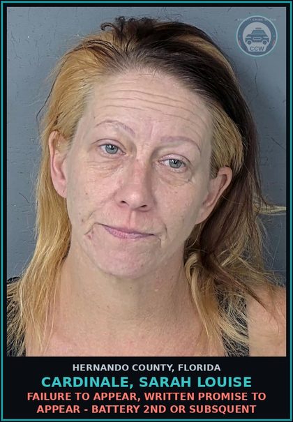 CCW arrest card for CARDINALE, SARAH LOUISE in Hernando County: FAILURE TO APPEAR