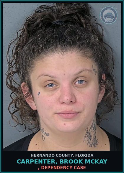 CCW arrest card for CARPENTER, BROOK MCKAY in Hernando County: 