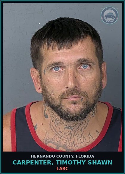 CCW arrest card for CARPENTER, TIMOTHY SHAWN in Hernando County: LARC
