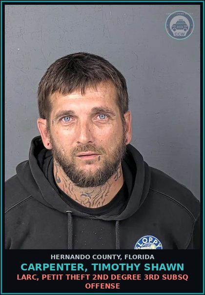CCW arrest card for CARPENTER, TIMOTHY SHAWN in Hernando County: LARC