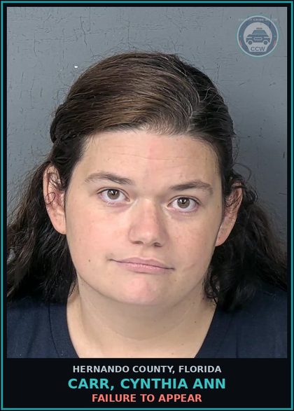 CCW arrest card for CARR, CYNTHIA ANN in Hernando County: FAILURE TO APPEAR