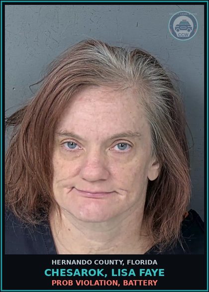 CCW arrest card for CHESAROK, LISA FAYE in Hernando County: PROB VIOLATION
