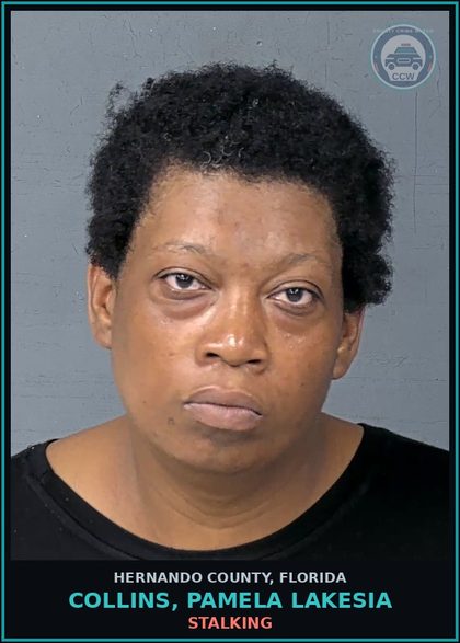 CCW arrest card for COLLINS, PAMELA LAKESIA in Hernando County: STALKING