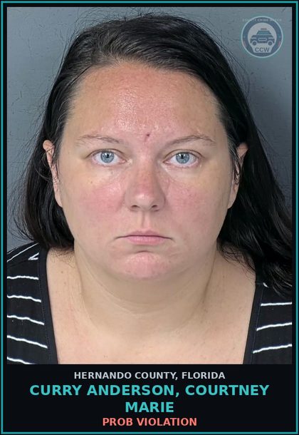CCW arrest card for CURRY ANDERSON, COURTNEY MARIE in Hernando County: PROB VIOLATION