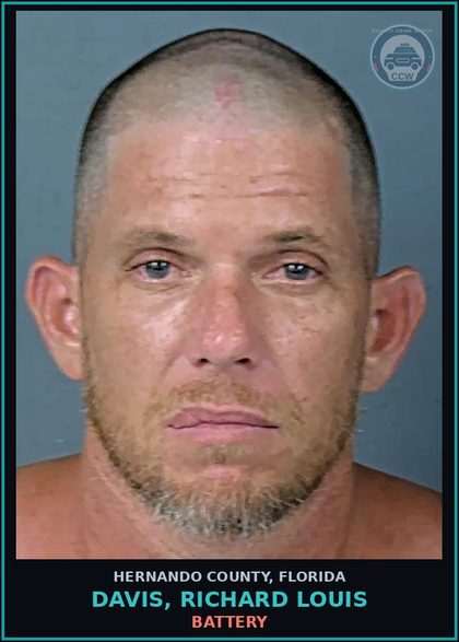 CCW arrest card for DAVIS, RICHARD LOUIS in Hernando County: BATTERY