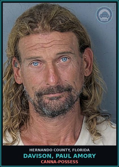 CCW arrest card for DAVISON, PAUL AMORY in Hernando County: Canna-POSSESS