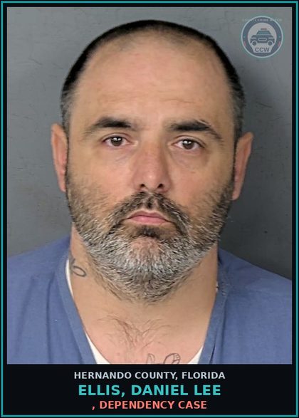CCW arrest card for ELLIS, DANIEL LEE in Hernando County: 