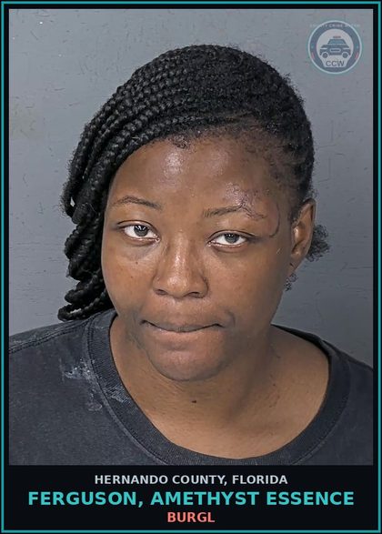 CCW arrest card for FERGUSON, AMETHYST ESSENCE in Hernando County: BURGL