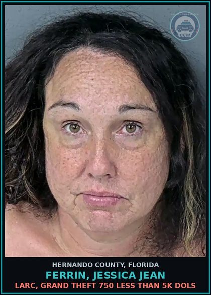 CCW arrest card for FERRIN, JESSICA JEAN in Hernando County: LARC