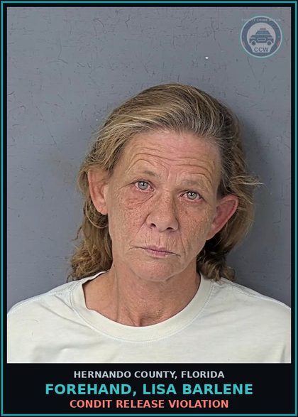CCW arrest card for FOREHAND, LISA BARLENE in Hernando County: CONDIT RELEASE VIOLATION