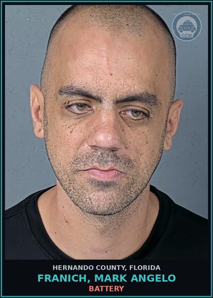 CCW arrest card for FRANICH, MARK ANGELO in Hernando County: BATTERY