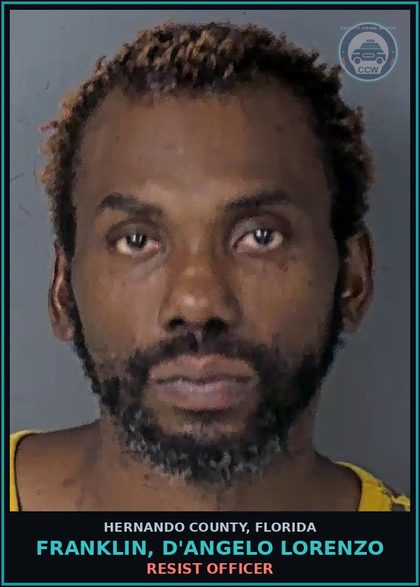 CCW arrest card for FRANKLIN, D'ANGELO LORENZO in Hernando County: LOITERING