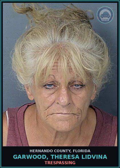 CCW arrest card for GARWOOD, THERESA LIDVINA in Hernando County: TRESPASSING