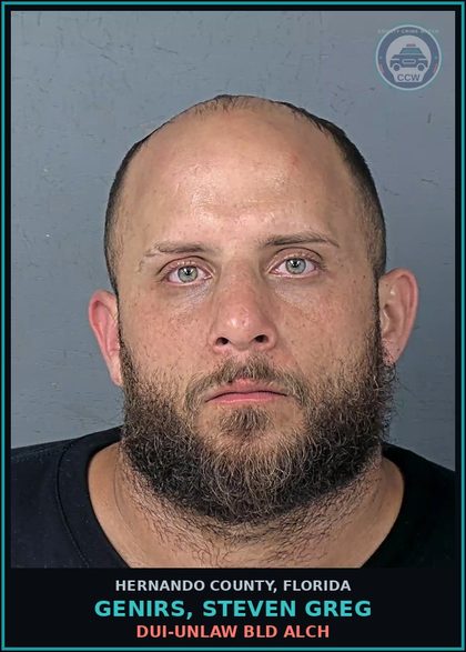 CCW arrest card for GENIRS, STEVEN GREG in Hernando County: DUI-UNLAW BLD ALCH
