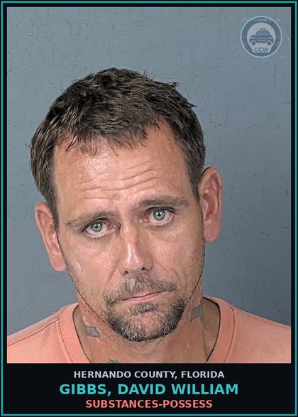CCW arrest card for GIBBS, DAVID WILLIAM in Hernando County: DRUGS-POSSESS