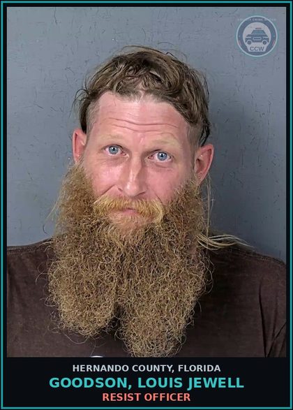 CCW arrest card for GOODSON, LOUIS JEWELL in Hernando County: RESIST OFFICER