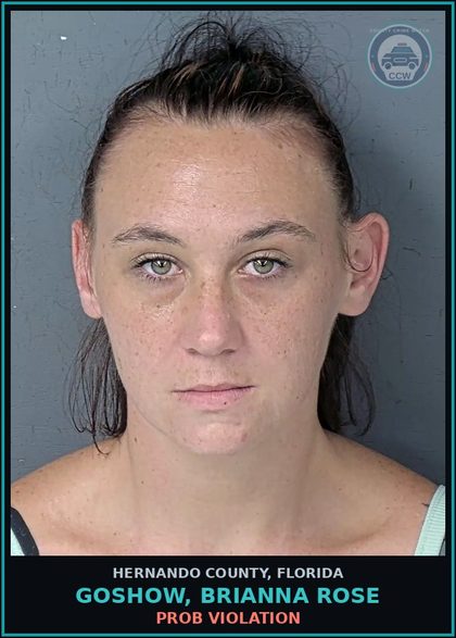 CCW arrest card for GOSHOW, BRIANNA ROSE in Hernando County: PROB VIOLATION