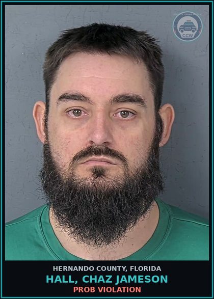 CCW arrest card for HALL, CHAZ JAMESON in Hernando County: PROB VIOLATION