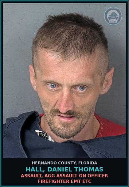 CCW arrest card for HALL, DANIEL THOMAS in Hernando County: MOVING TRAFFIC VIOL