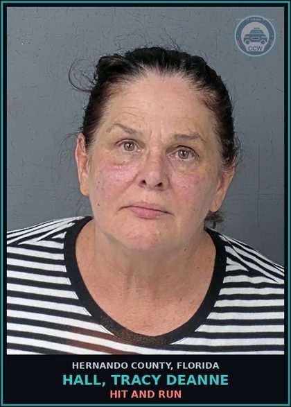 CCW arrest card for HALL, TRACY DEANNE in Hernando County: HIT AND RUN