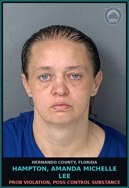 CCW arrest card for HAMPTON, AMANDA MICHELLE LEE in Hernando County: PROB VIOLATION