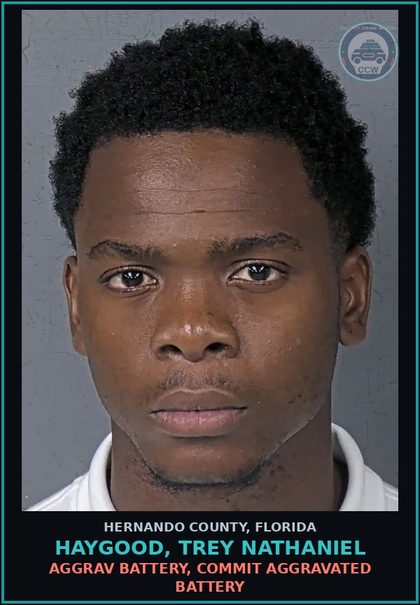 CCW arrest card for HAYGOOD, TREY NATHANIEL in Hernando County: AGGRAV BATTERY, COMMIT AGGRAVATED BATTERY