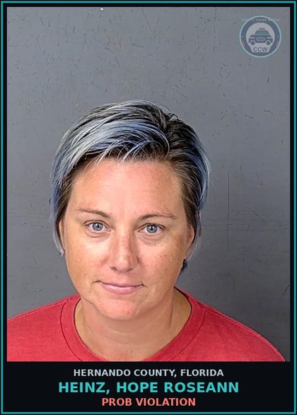 CCW arrest card for HEINZ, HOPE ROSEANN in Hernando County: PROB VIOLATION