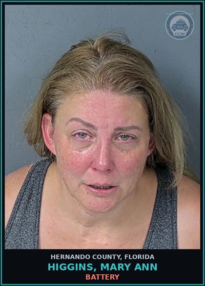 CCW arrest card for HIGGINS, MARY ANN in Hernando County: BATTERY