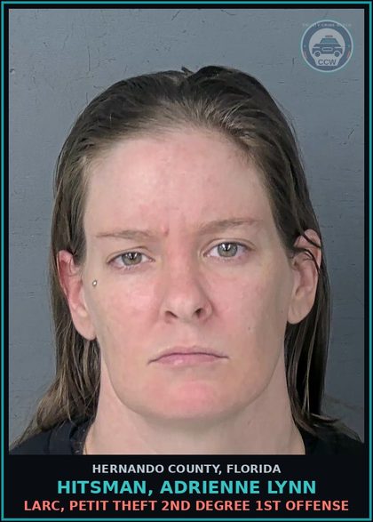 CCW arrest card for HITSMAN, ADRIENNE LYNN in Hernando County: LARC