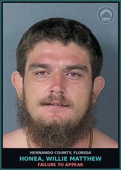 CCW arrest card for HONEA, WILLIE MATTHEW in Hernando County: FAILURE TO APPEAR