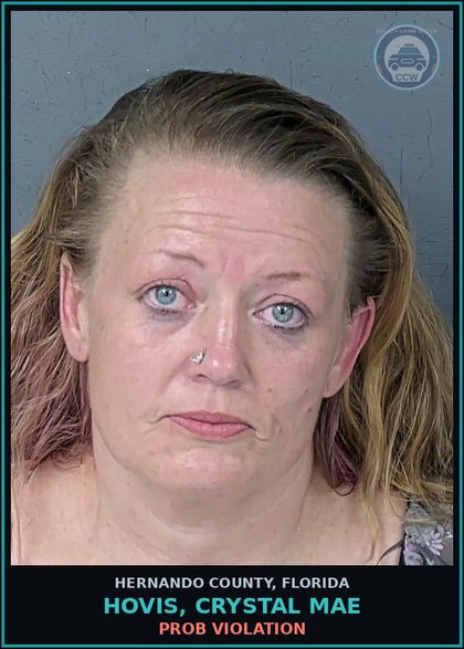 CCW arrest card for HOVIS, CRYSTAL MAE in Hernando County: PROB VIOLATION