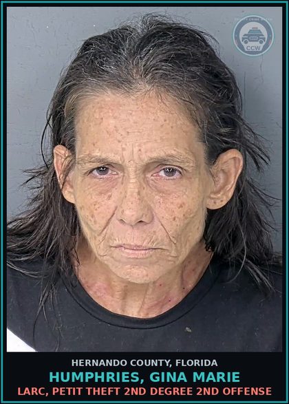 CCW arrest card for HUMPHRIES, GINA MARIE in Hernando County: LARC