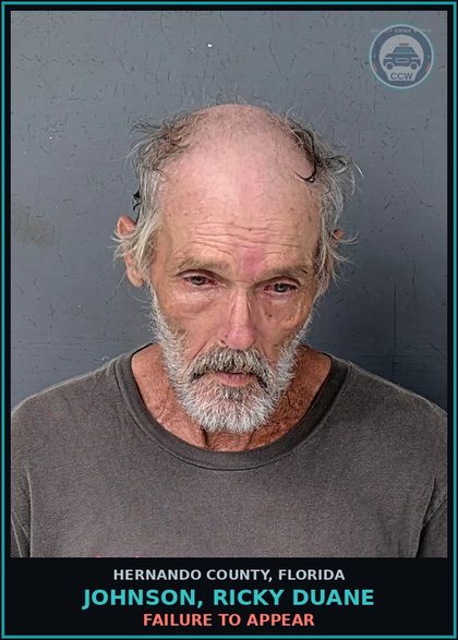CCW arrest card for JOHNSON, RICKY DUANE in Hernando County: FAILURE TO APPEAR