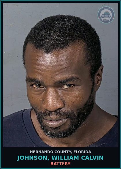CCW arrest card for JOHNSON, WILLIAM CALVIN in Hernando County: BATTERY