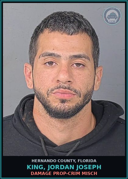CCW arrest card for KING, JORDAN JOSEPH in Hernando County: DAMAGE PROP-CRIM MISCH
