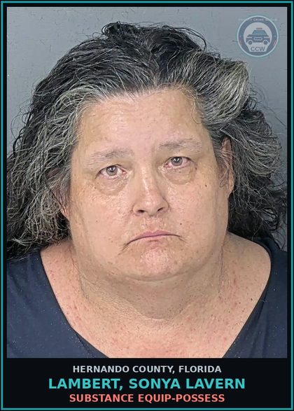 CCW arrest card for LAMBERT, SONYA LAVERN in Hernando County: DRUG EQUIP-POSSESS