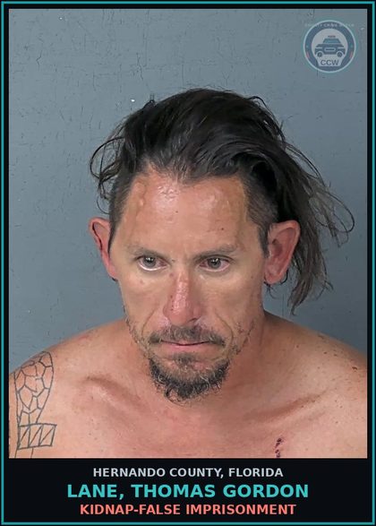 CCW arrest card for LANE, THOMAS GORDON in Hernando County: BATTERY