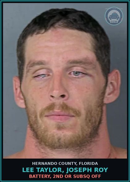 CCW arrest card for LEE TAYLOR, JOSEPH ROY in Hernando County: BATTERY, 2ND OR SUBSQ OFF
