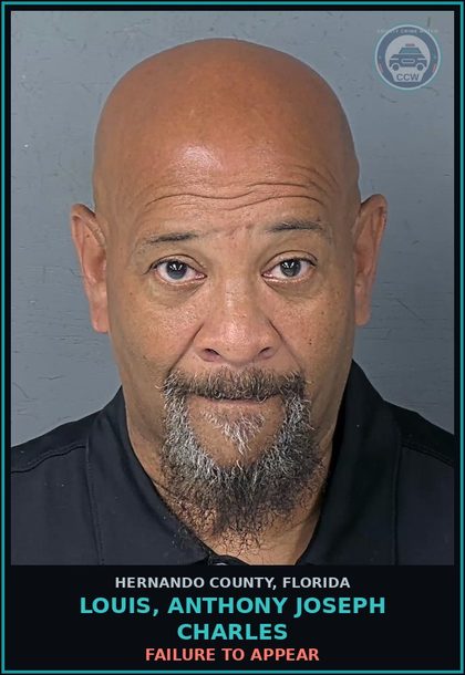 CCW arrest card for LOUIS, ANTHONY JOSEPH CHARLES in Hernando County: FAILURE TO APPEAR