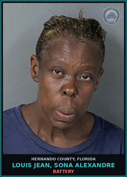 CCW arrest card for LOUIS JEAN, SONA ALEXANDRE in Hernando County: BATTERY