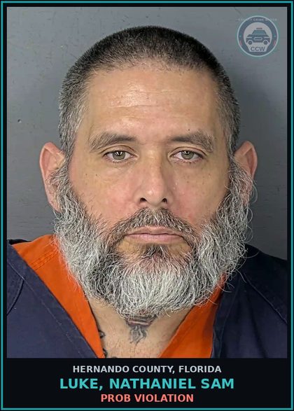 CCW arrest card for LUKE, NATHANIEL SAM in Hernando County: PROB VIOLATION