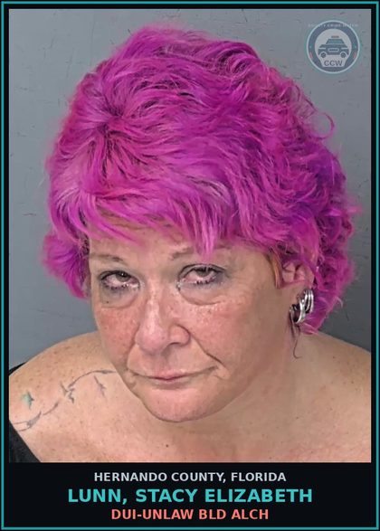 CCW arrest card for LUNN, STACY ELIZABETH in Hernando County: DUI-UNLAW BLD ALCH