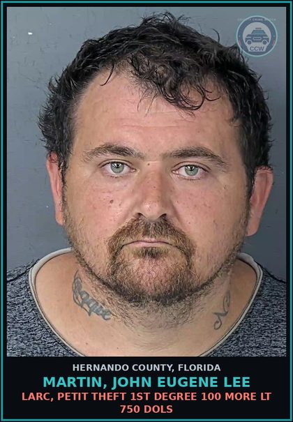CCW arrest card for MARTIN, JOHN EUGENE LEE in Hernando County: LARC