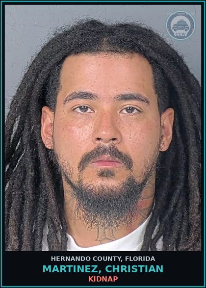 CCW arrest card for MARTINEZ, CHRISTIAN in Hernando County: BATTERY