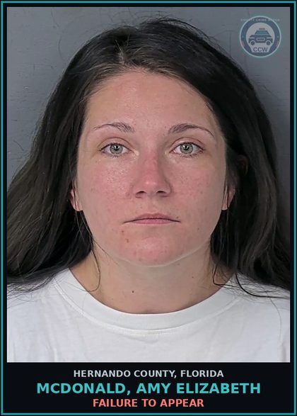 CCW arrest card for MCDONALD, AMY ELIZABETH in Hernando County: FAILURE TO APPEAR